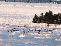 Spindrift - Teton Range , edition 1012/2500