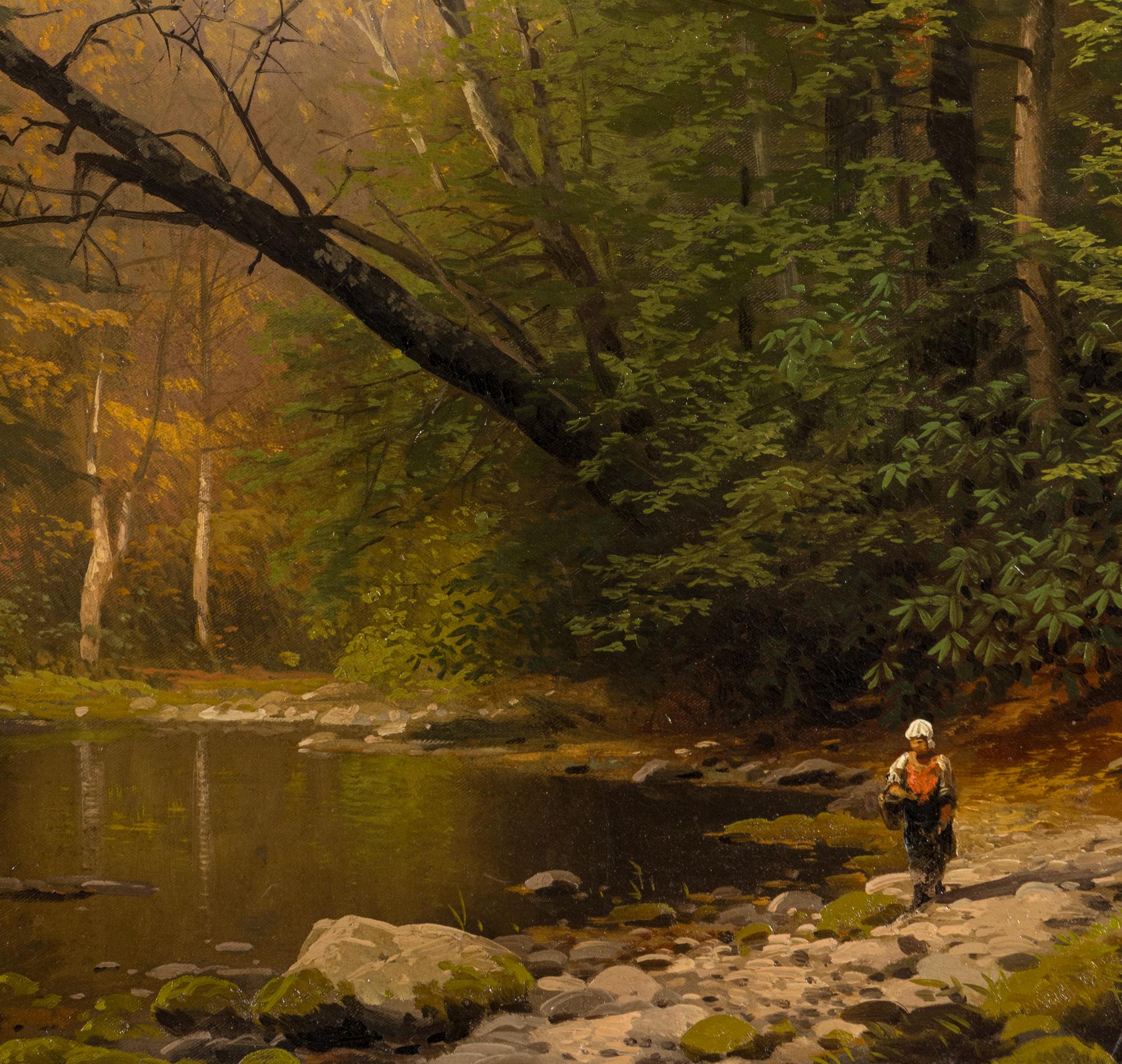 Woodland Stream