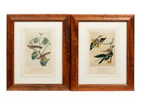 After John James Audubon (American, 1785-1851)