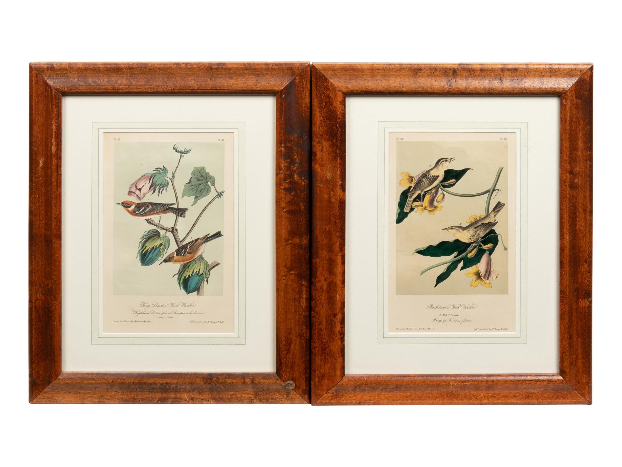 After John James Audubon (American, 1785-1851)