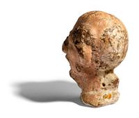 A Hellenistic Terracotta Head of a Grotesque