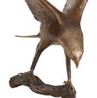 Bald Eagle , edition 16/25