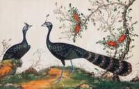 A Set of Twelve Chinese Export Watercolor and Pith Paintings