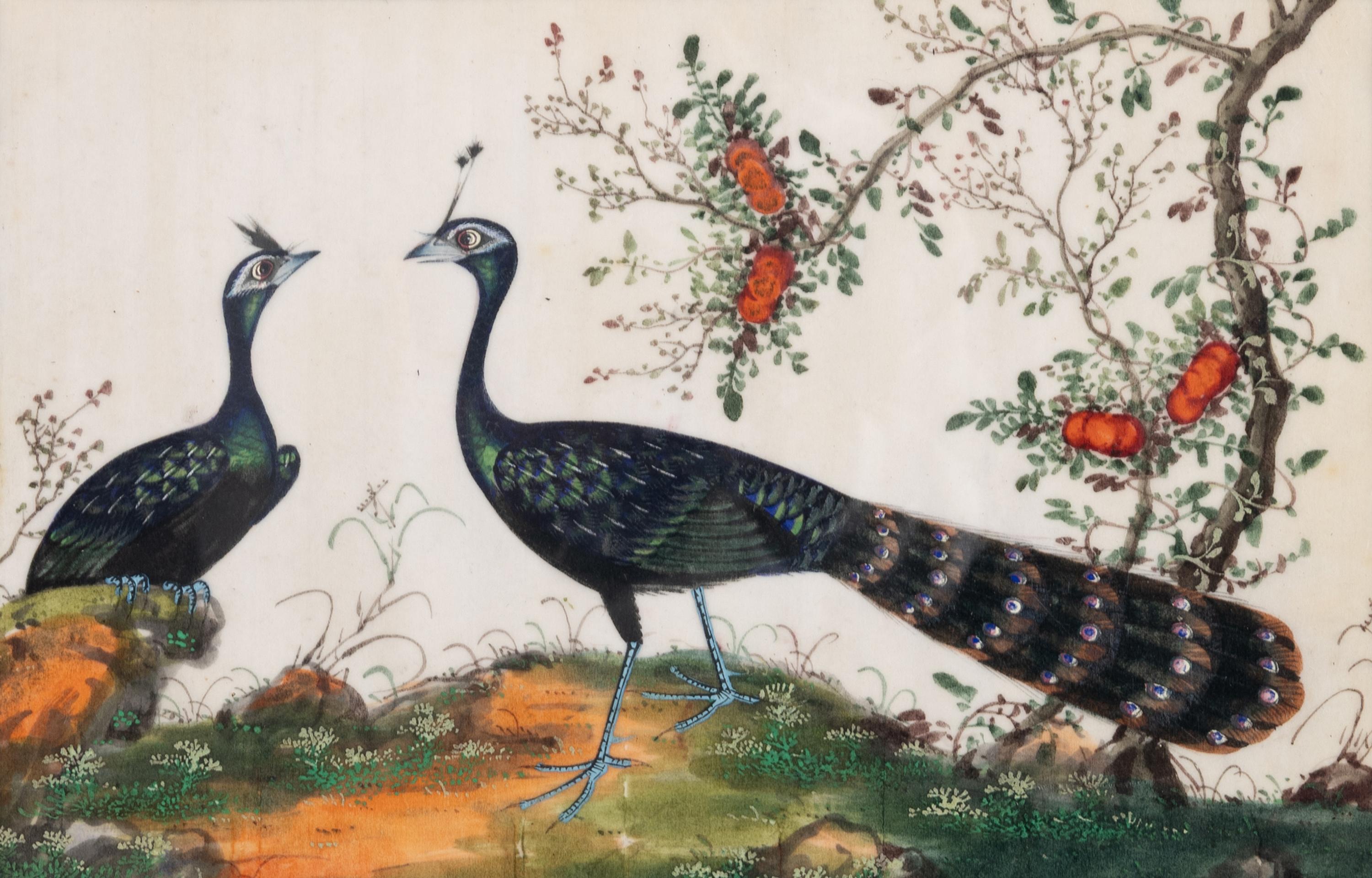 A Set of Twelve Chinese Export Watercolor and Pith Paintings