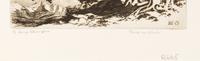 Pines in Wind