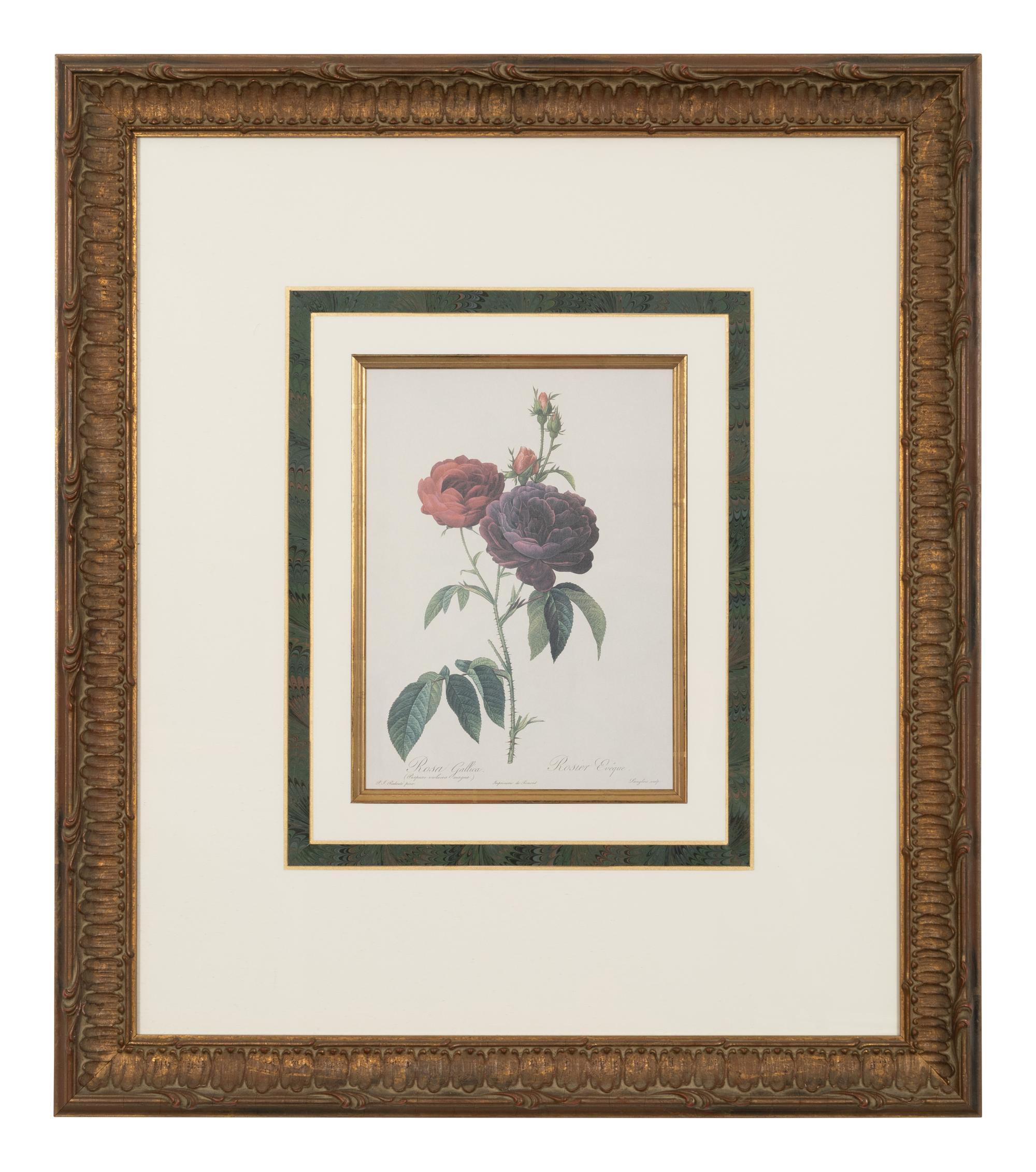 A Set of Six Chromolithographs of Roses after Pierre Joseph Redouté
