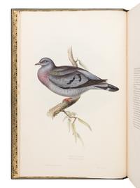 [NATURAL HISTORY]. GOULD, John (1804-1881). The Birds of Europe . London: Richard and John E. Taylor, [1832-] 1837.