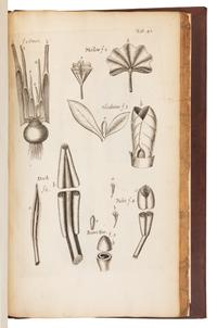 [NATURAL HISTORY]. GREW, Nehemiah (1641-1712). The Anatomy of Plants. With an Idea of a Philosophical History of Plants. London, 1682.