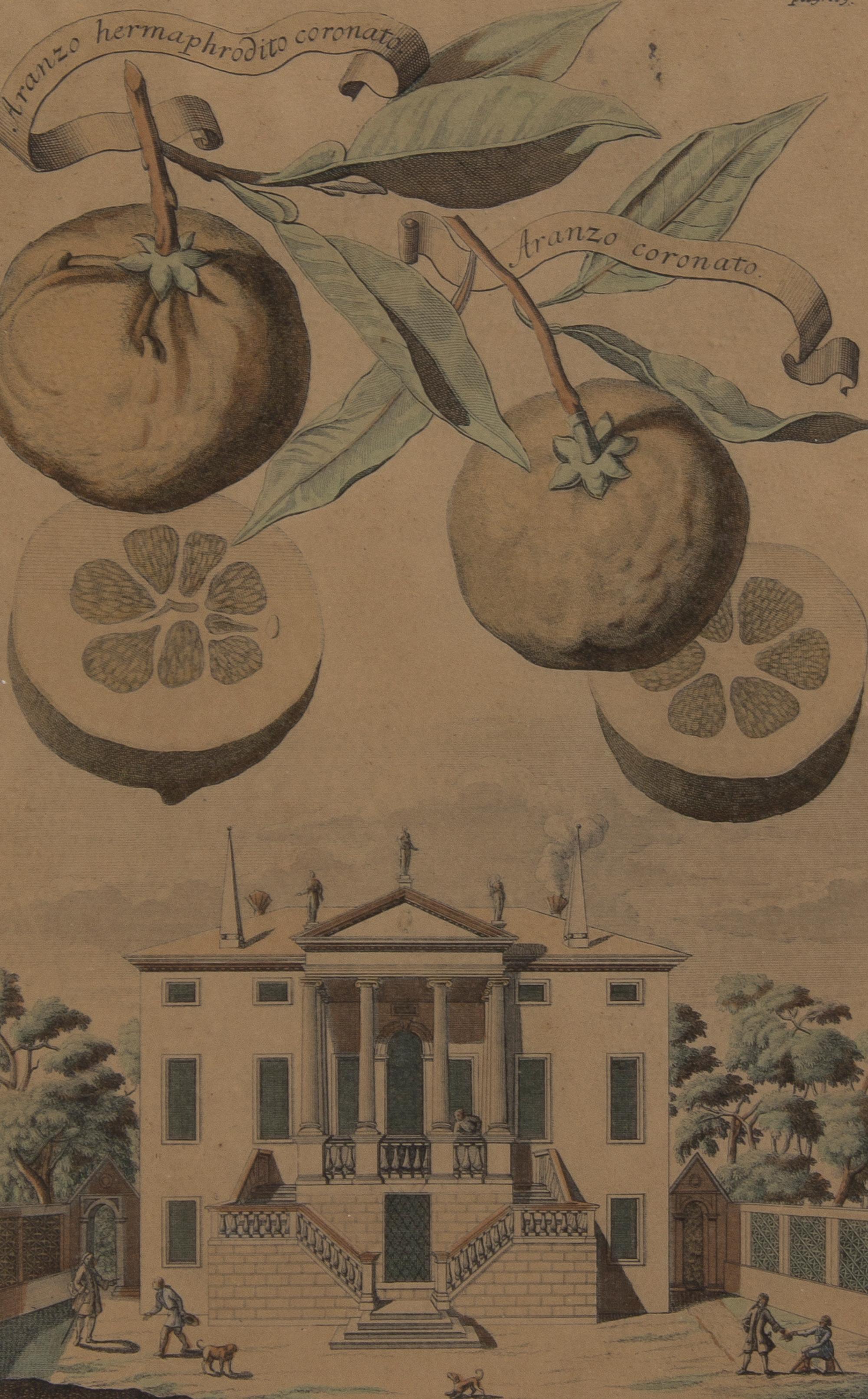 A Collection of Five Botanical Prints, Height of first overall 14 1/8 inches.