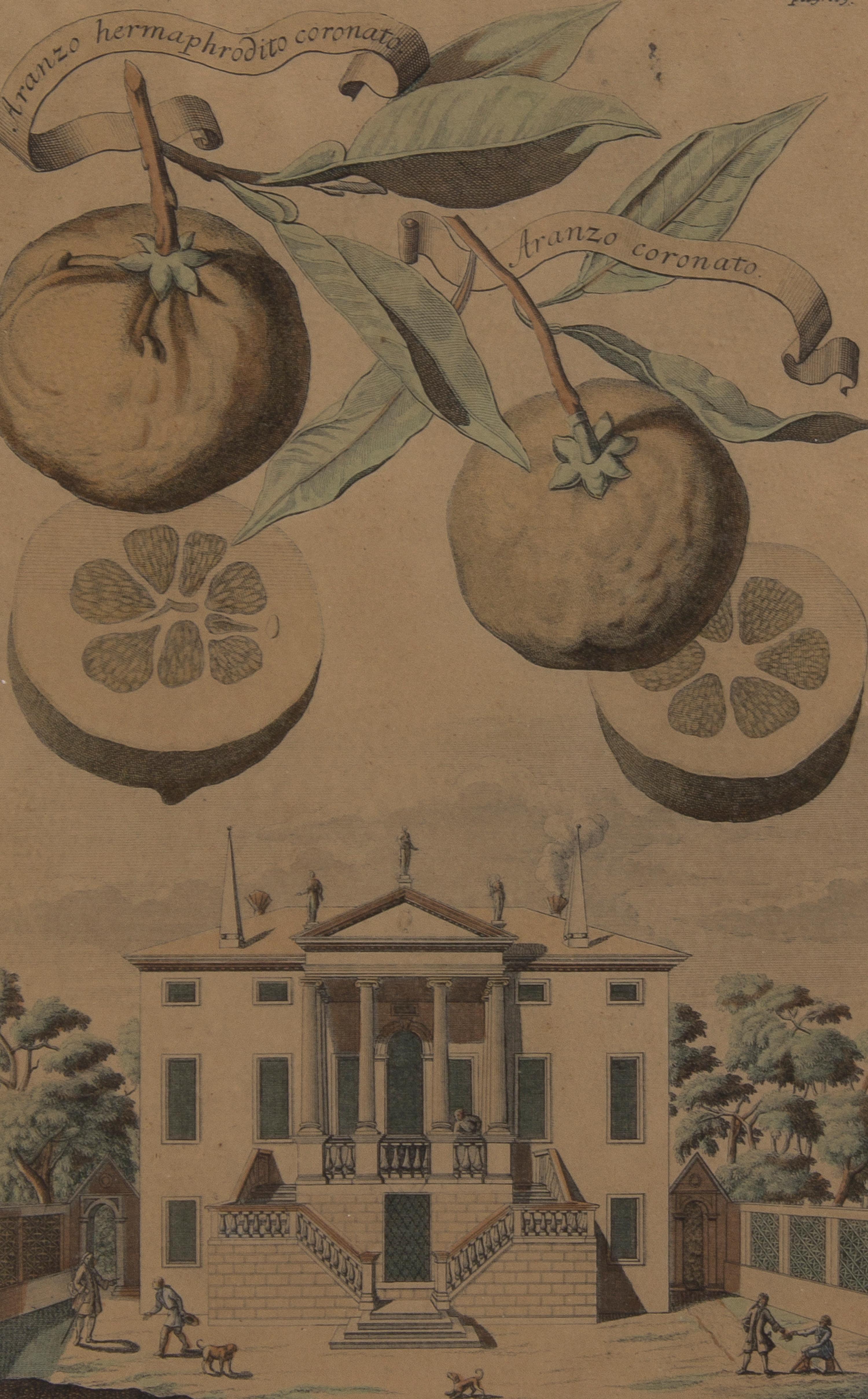 A Collection of Five Botanical Prints, Height of first overall 14 1/8 inches.