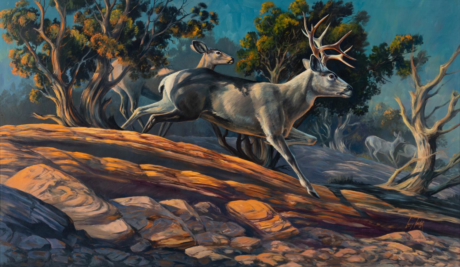 Buck and Three Does