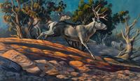 Buck and Three Does