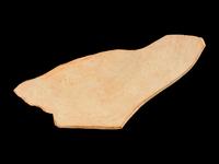 An Attic Red-Figured Vase Fragment