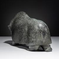 Muskox , Exhibited and Published