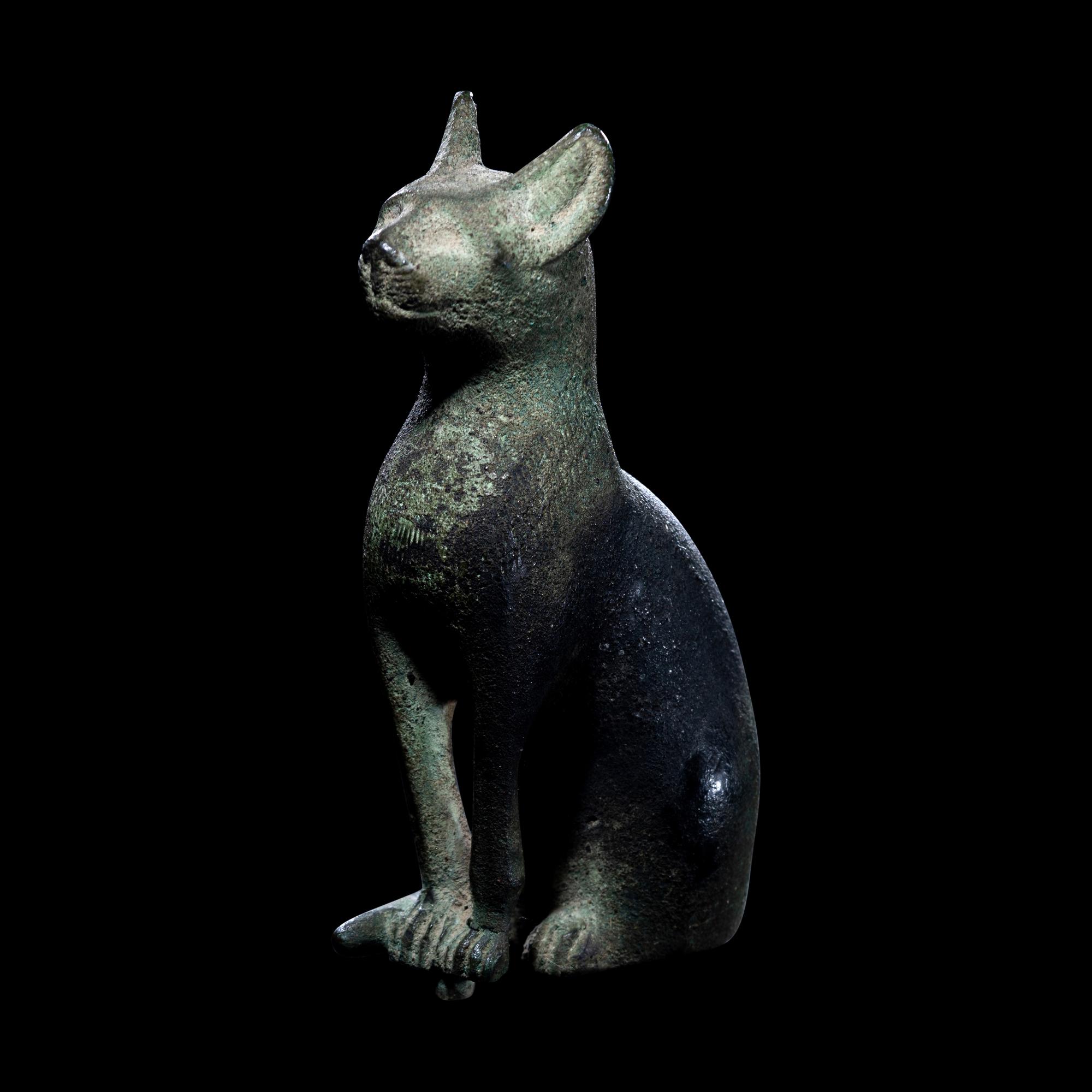 An Egyptian Bronze Cat