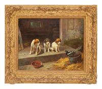 Three Puppies