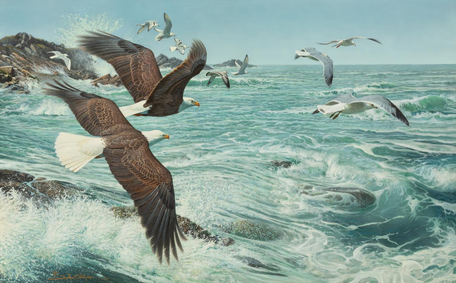 Wings, Wind and Sea , 1995