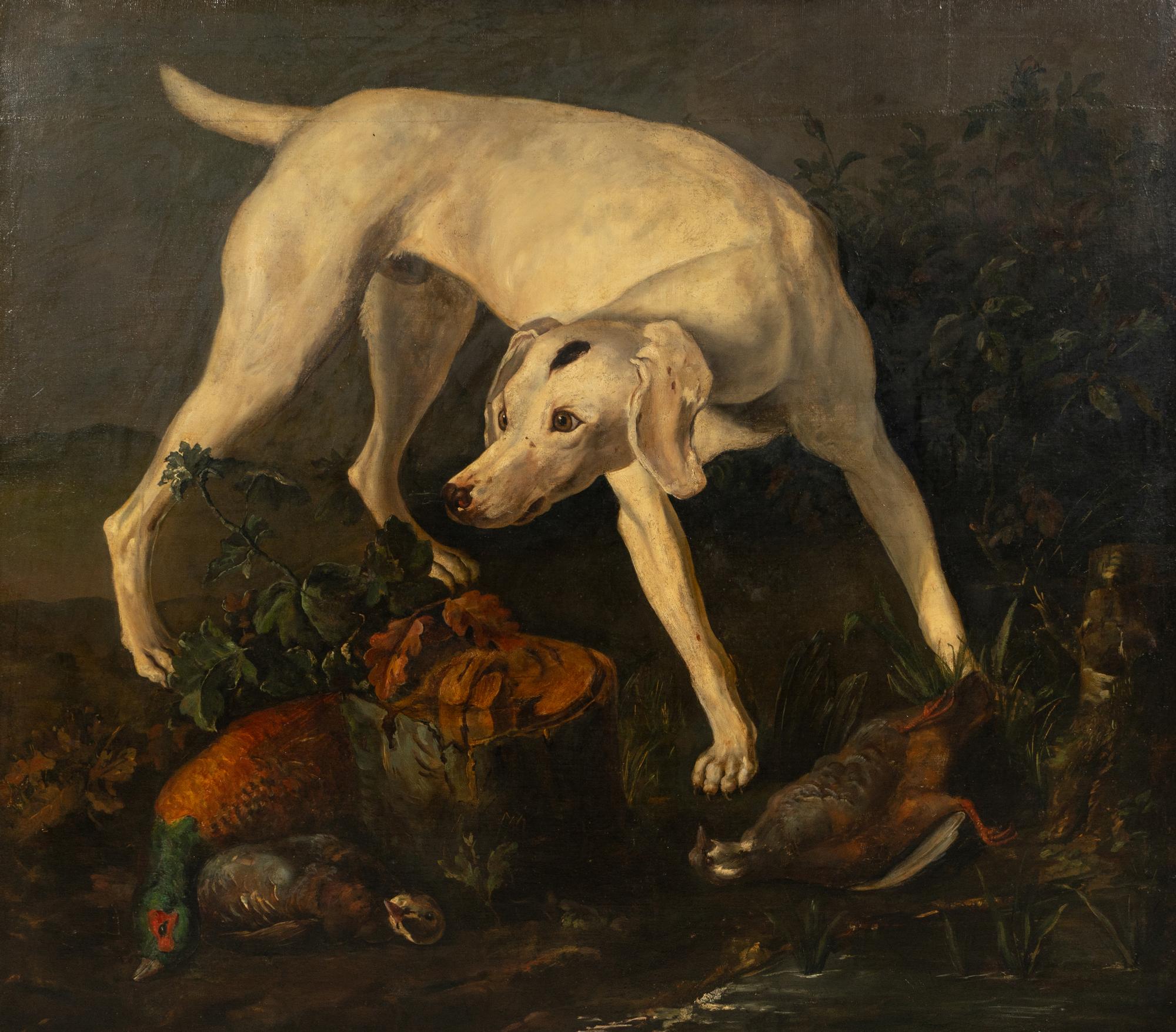 A Pointer Besides Hunting Trophies