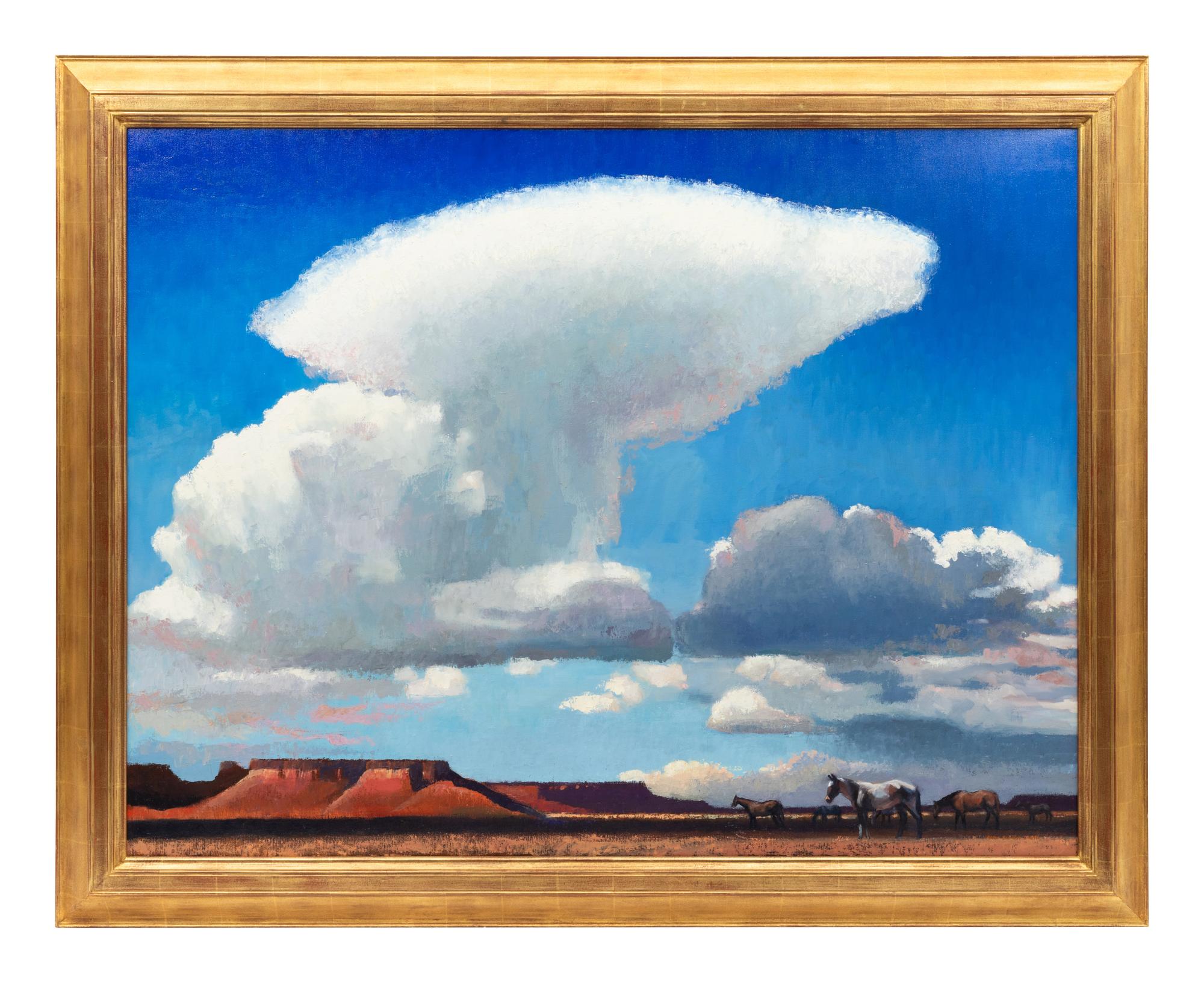 Desert Thunderhead, 2012
