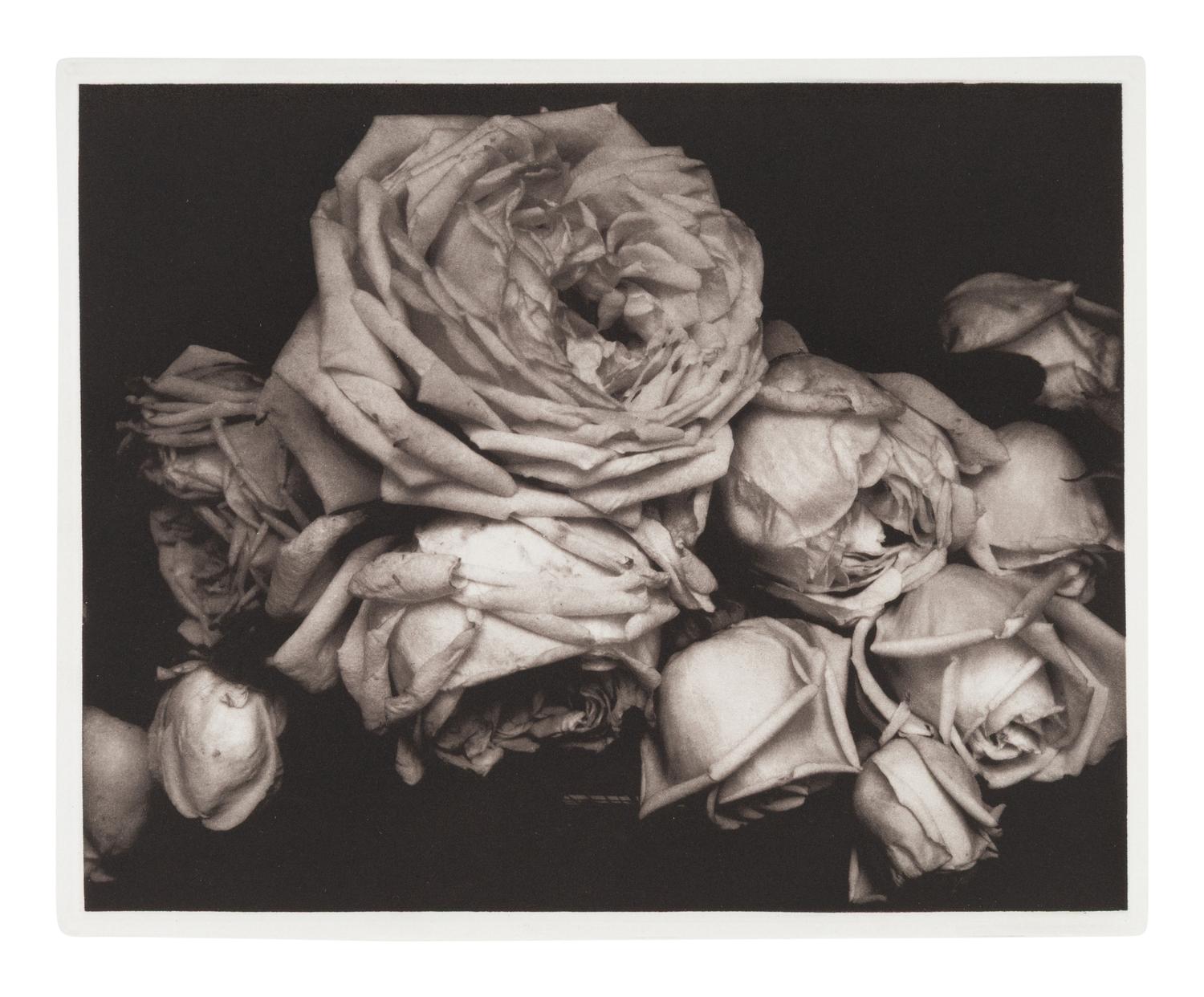 A group of 11 works from Edward Steichen: The Early Years (with portfolio case)