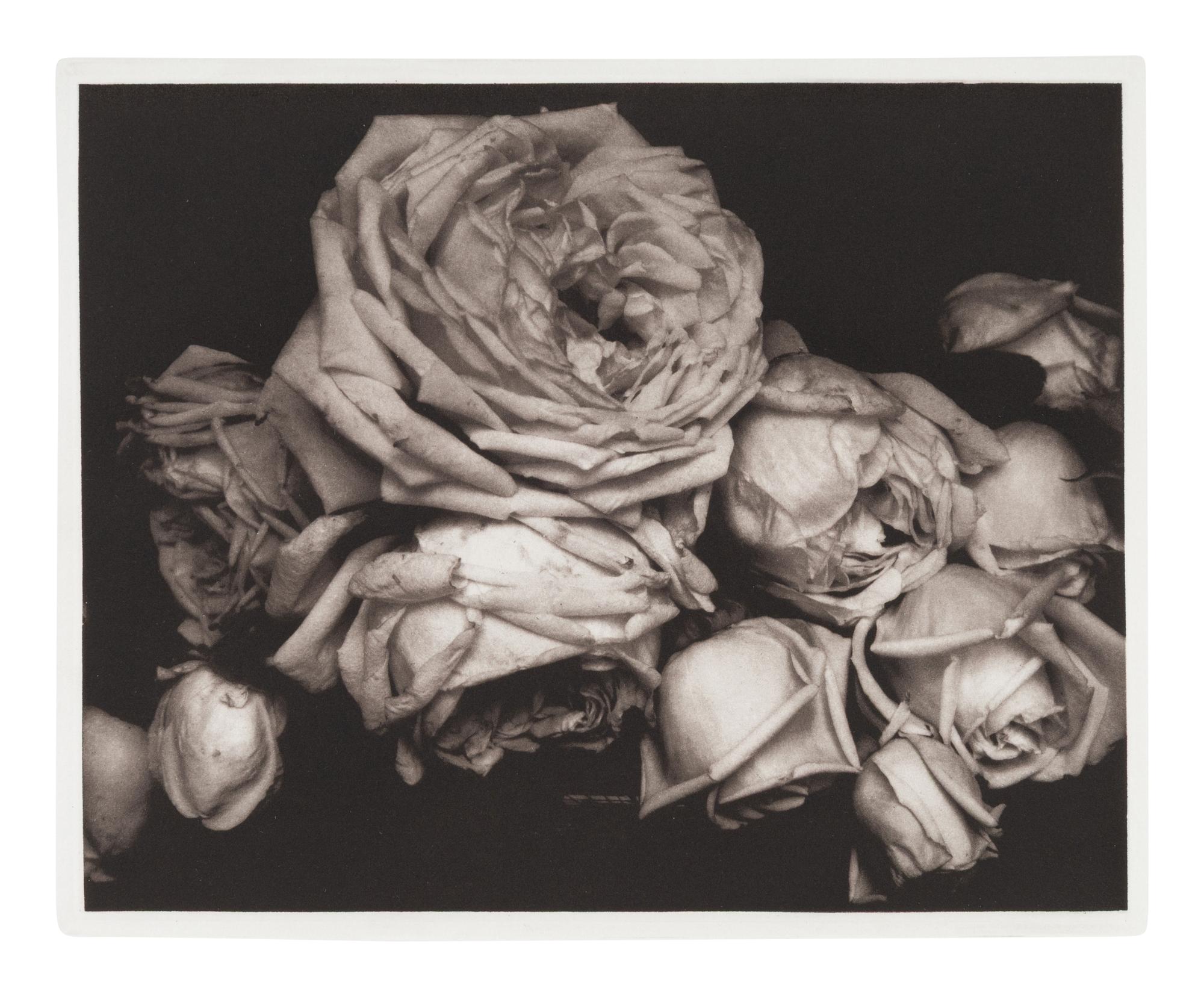 A group of 11 works from Edward Steichen: The Early Years (with portfolio case)