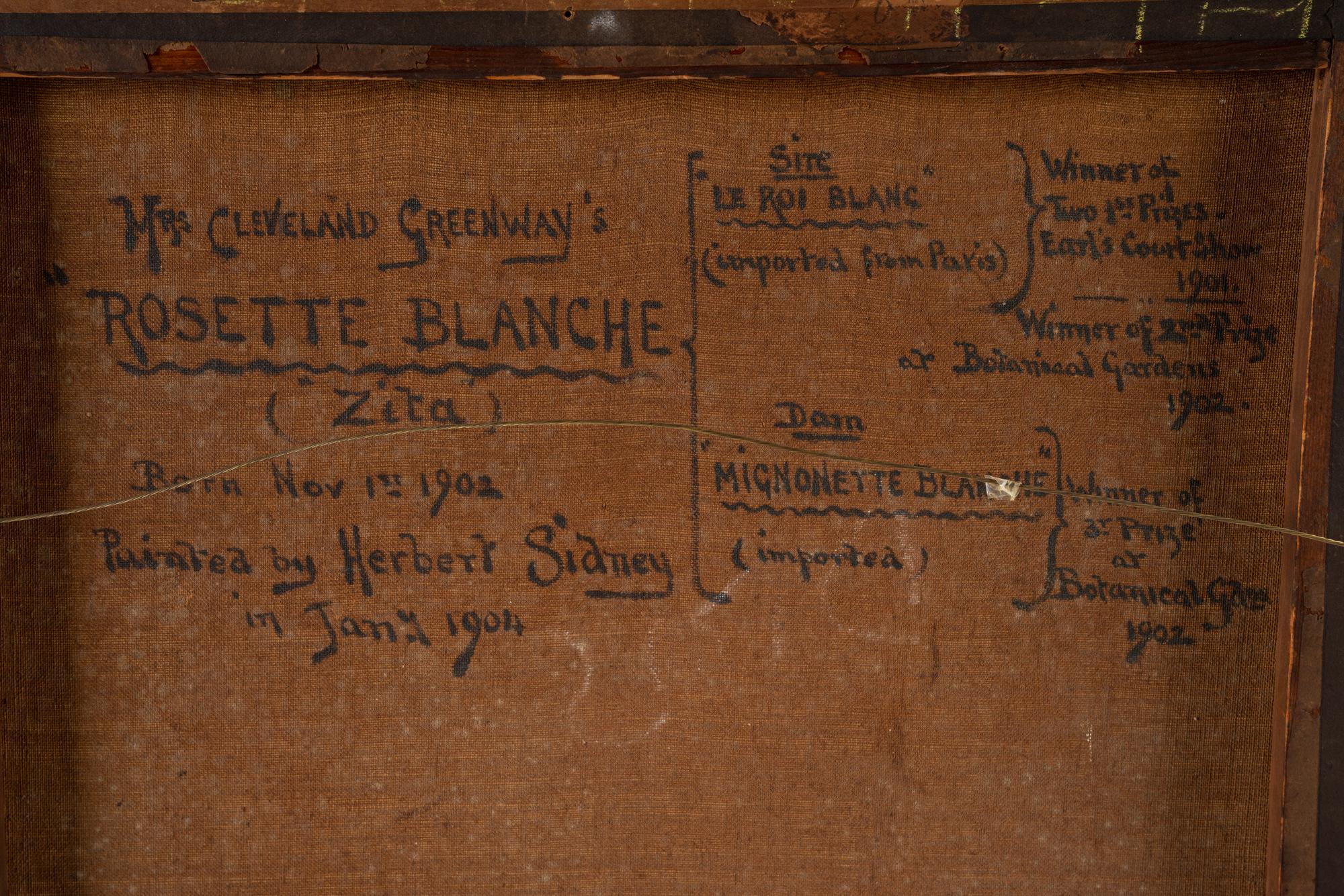 Mrs. Cleveland Greenway's "Rosette Blanche" (Zita)