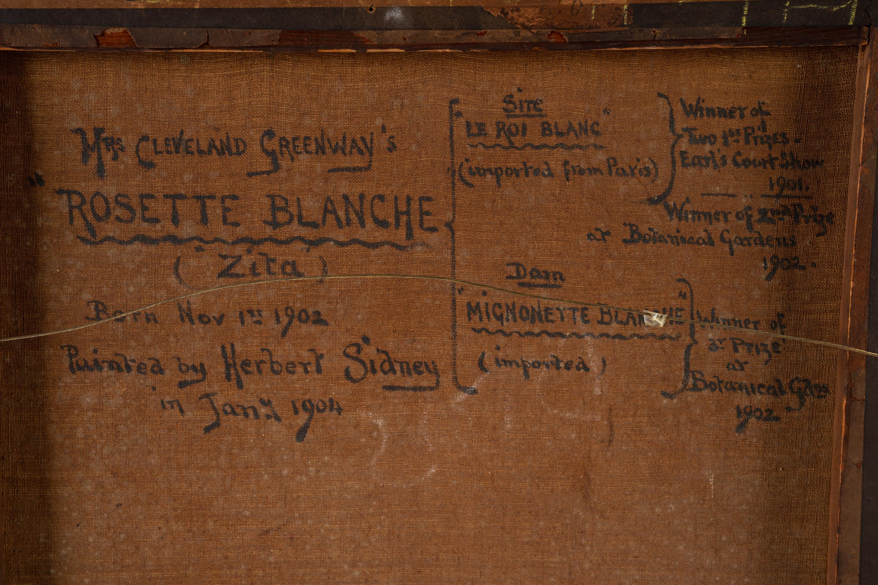 Mrs. Cleveland Greenway's "Rosette Blanche" (Zita)