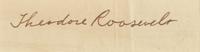 [Presidential] Roosevelt, Theodore. Typed letter, signed