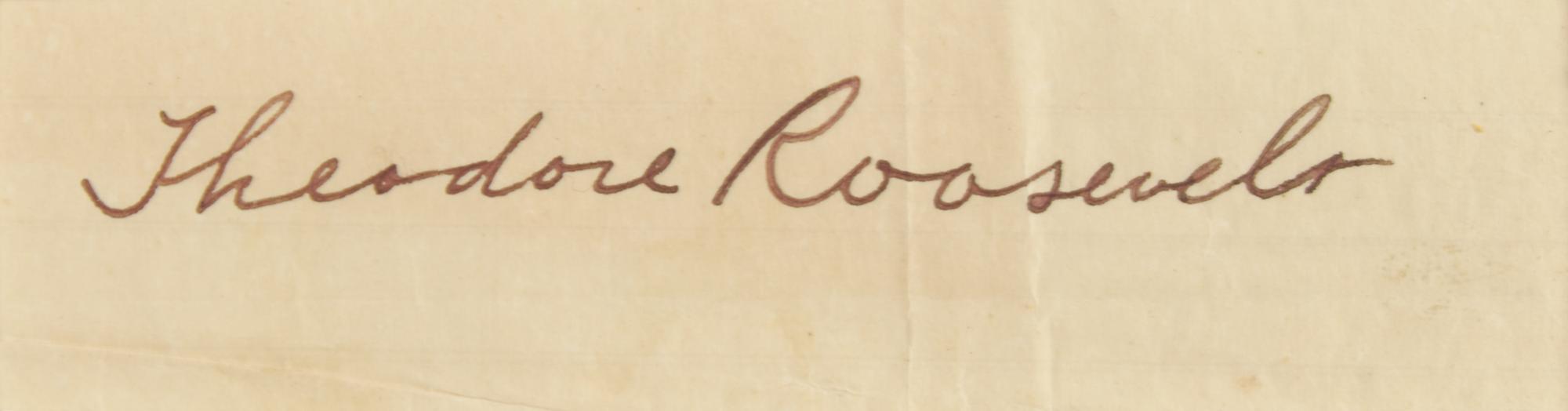[Presidential] Roosevelt, Theodore. Typed letter, signed