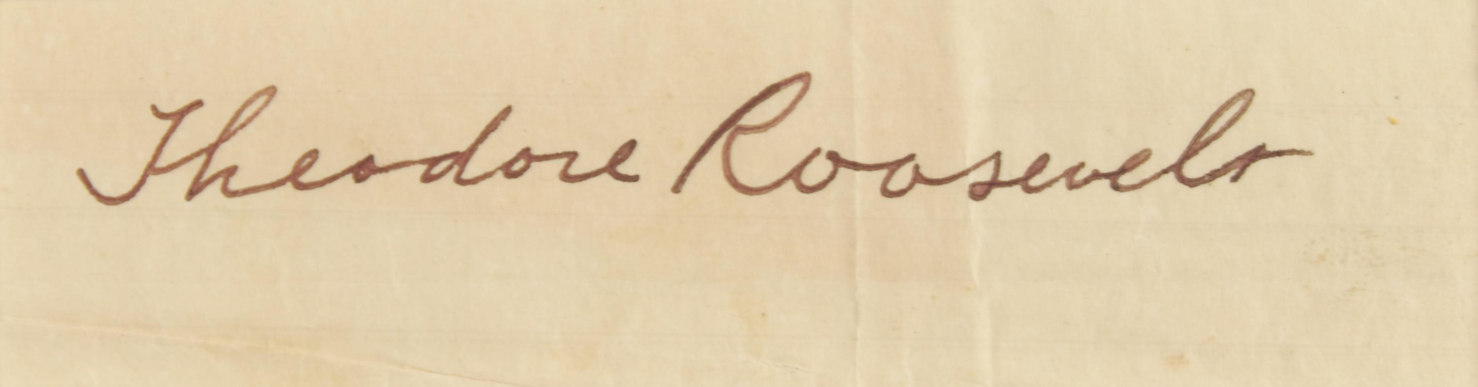[Presidential] Roosevelt, Theodore. Typed letter, signed