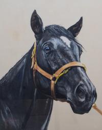 Russ Ellis, (American, 20th Century), Two Horse Portraits
