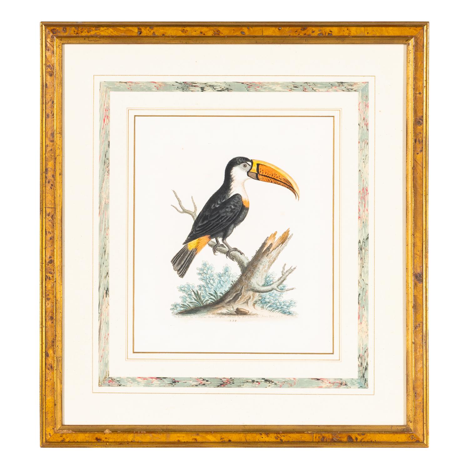 A Group of Nine Hand-Colored Engravings of Birds