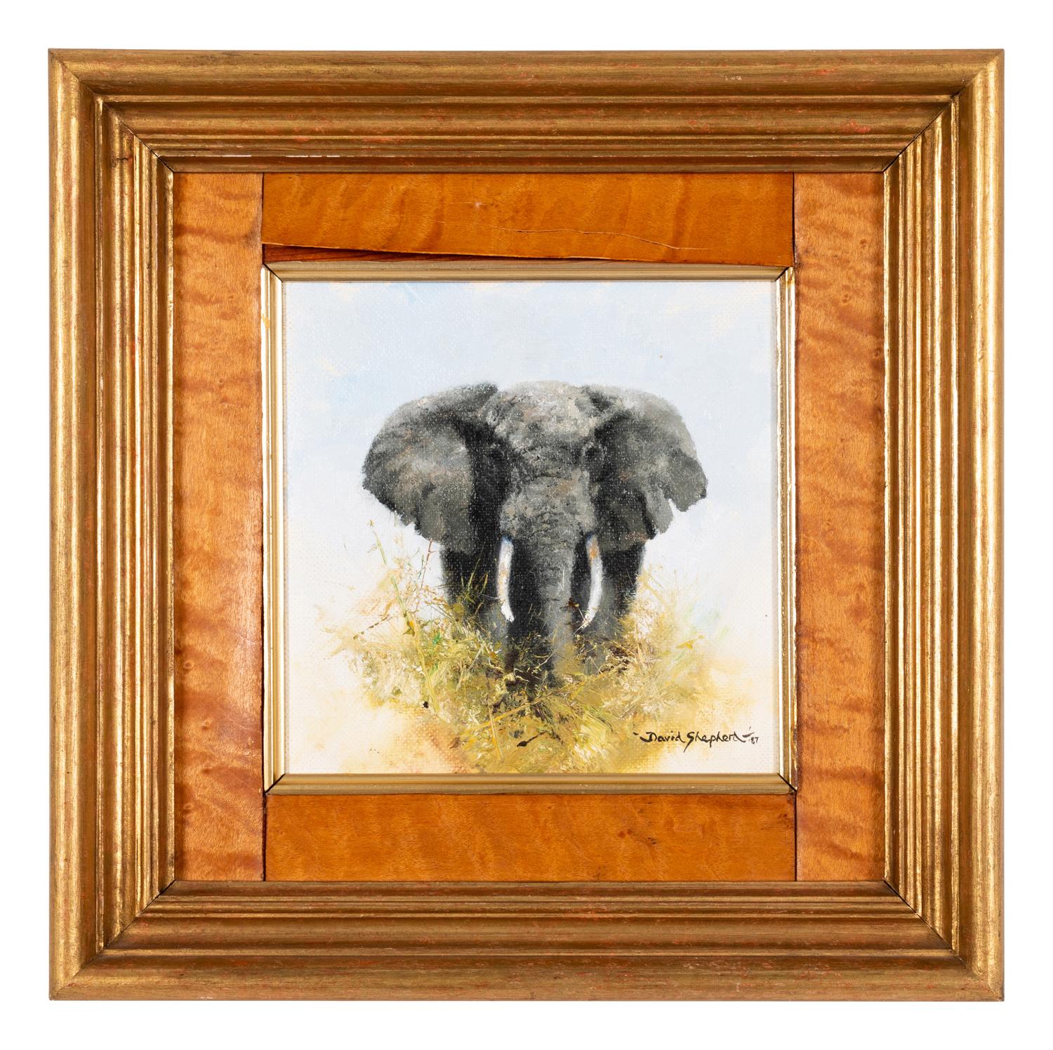 Elephant Marching