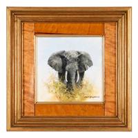 Elephant Marching
