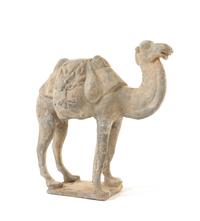A Chinese Grey Pottery Figure of a Camel Height 12 inches. — POSSIBLY TANG DYNASTY