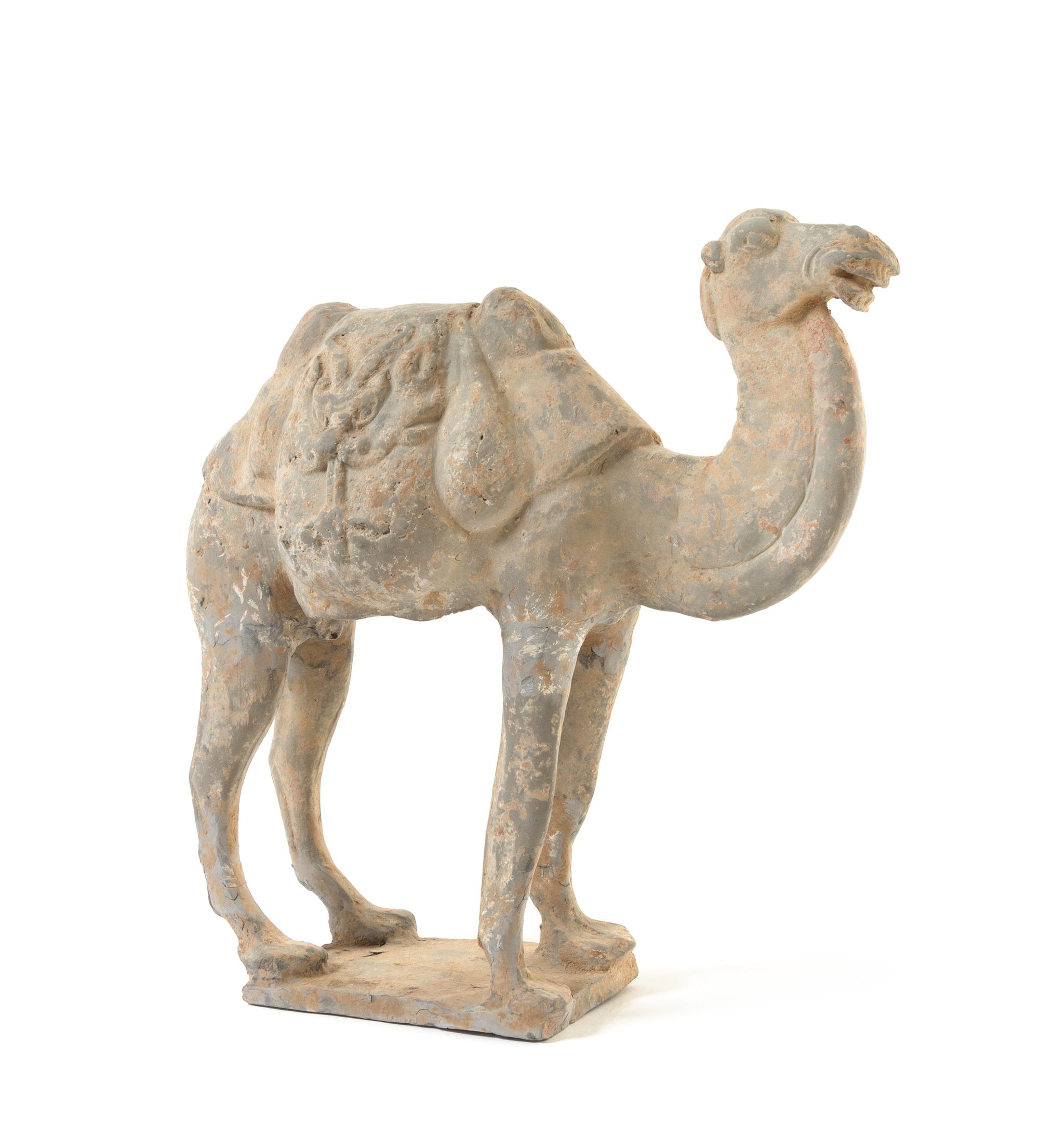 A Chinese Grey Pottery Figure of a Camel Height 12 inches. — POSSIBLY TANG DYNASTY