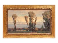 Evening Cottonwoods