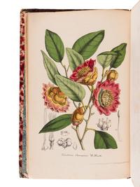 LEMAIRE, Charles (1800-1871). Le Jardin Fleuriste, journal général des progrès et des intérèts horticoles et botaniques . Ghent: F. & E. Gyselinck, 1851-1854.