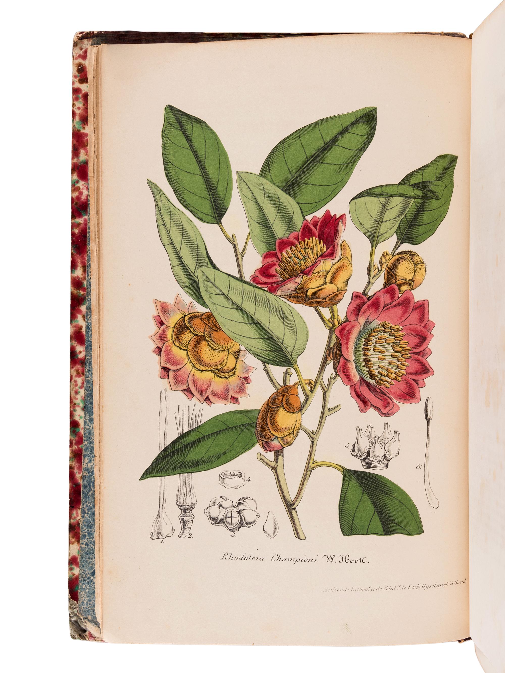 LEMAIRE, Charles (1800-1871). Le Jardin Fleuriste, journal général des progrès et des intérèts horticoles et botaniques . Ghent: F. & E. Gyselinck, 1851-1854.