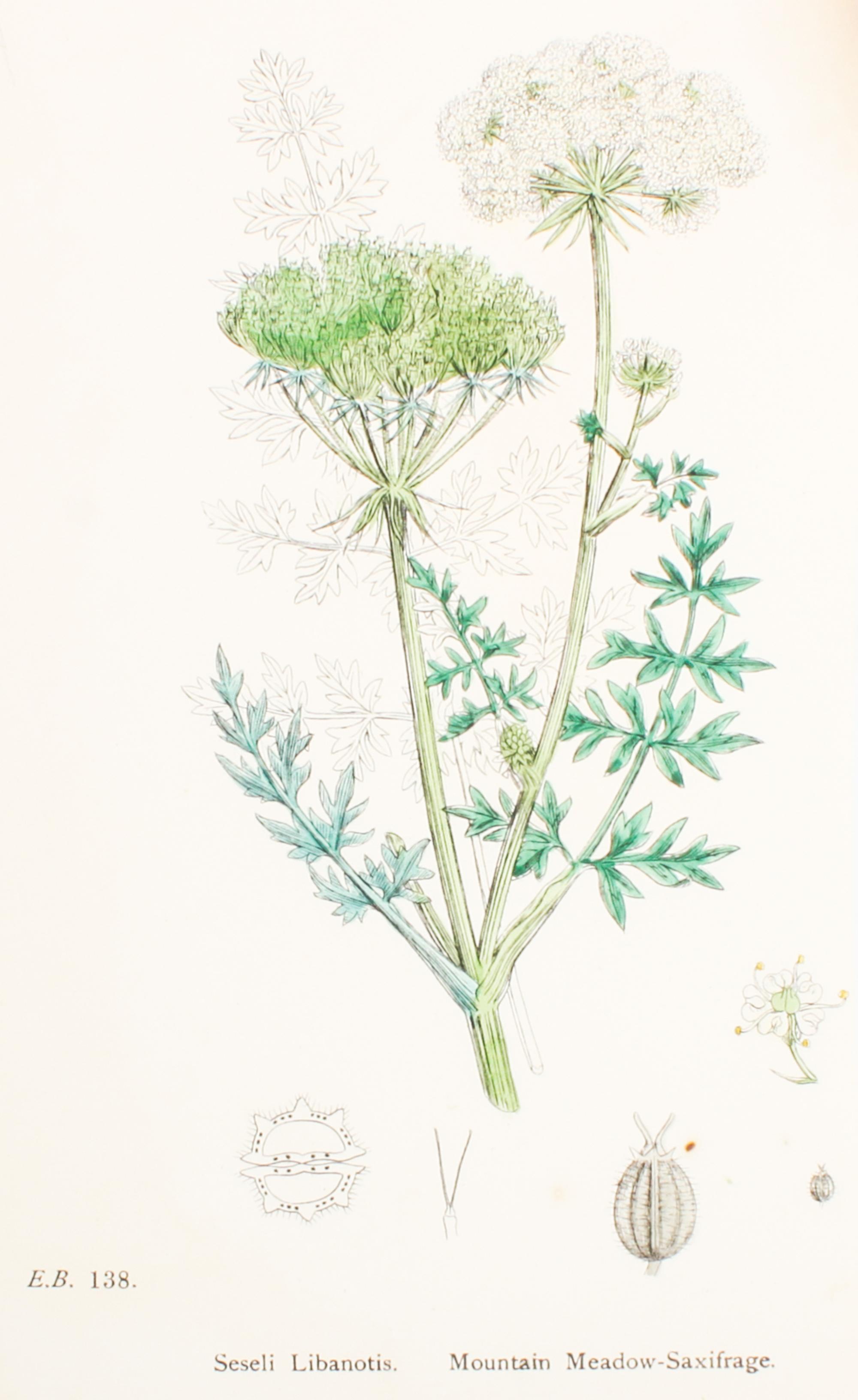 Curtis, William Each approximately: 9 x 6 inches.