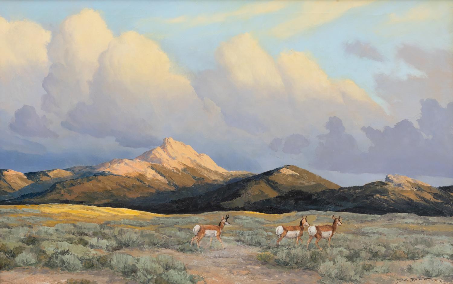 Where The Deer And The Antelope Play