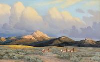 Where The Deer And The Antelope Play