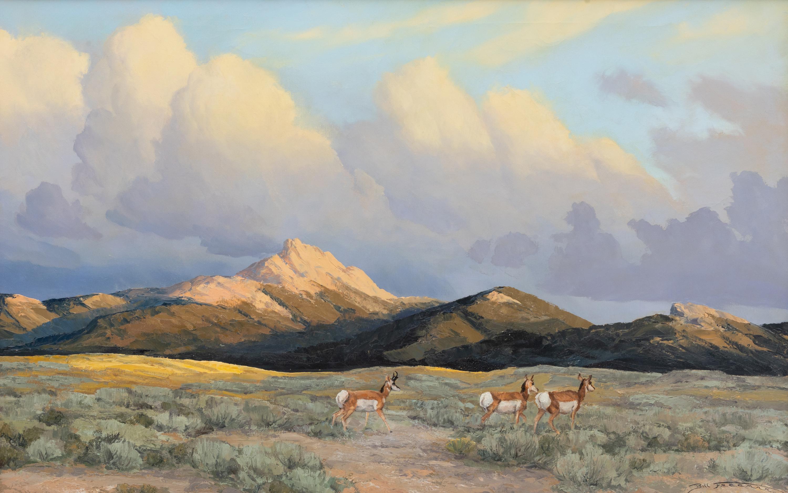 Where The Deer And The Antelope Play
