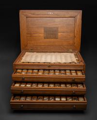 An Oak Three-Drawer Apothecary Cabinet with Specimen Tins
