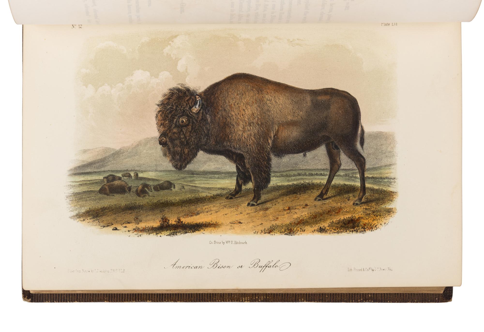 AUDUBON, John James (1785-1851) and John BACHMAN (1790-1874). The Quadrupeds of North America . New York: V.G. Audubon, 1849, 1851, 1854.
