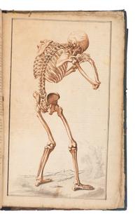 [SCIENCE & MEDICINE -MANUSCRIPT]. [After TORTEBAT, Francois (c 1616-1690), illustrator. -- PILES, Roger de (1635-1709)]. "Abrege d'Anatomie Accommode aux Arts de Peinture et de Sculpture. " [France, ca 17th- early 18th century].