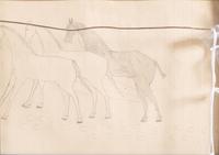 Ledger Drawing, Double-Sided