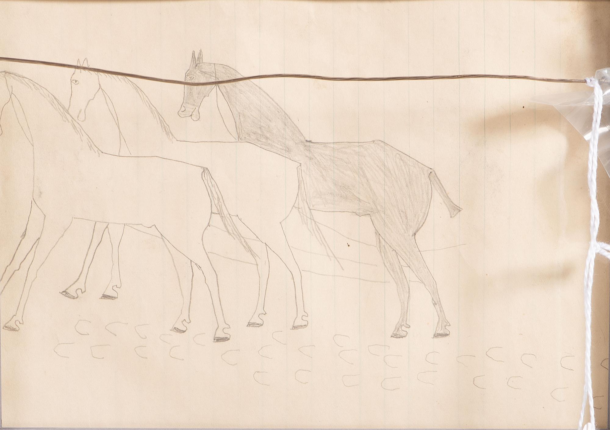 Ledger Drawing, Double-Sided
