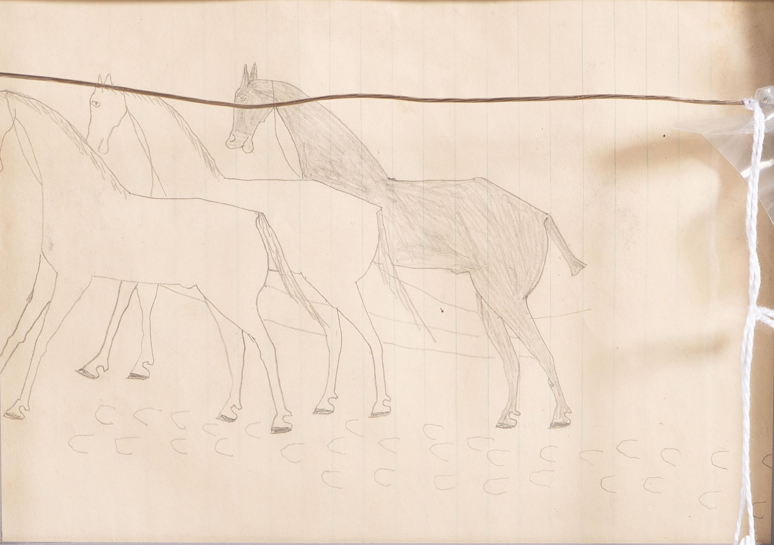Ledger Drawing, Double-Sided