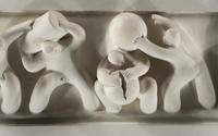 Battle of the Sexes